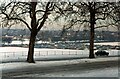 The Forest Park and Ride site – 1982