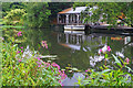 River Wey, Weybridge