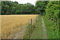 Foxton footpath going into Brown Spinney