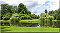 SE2868 : Willow trees beside Half Moon Pond, Studley Royal by Trevor Littlewood