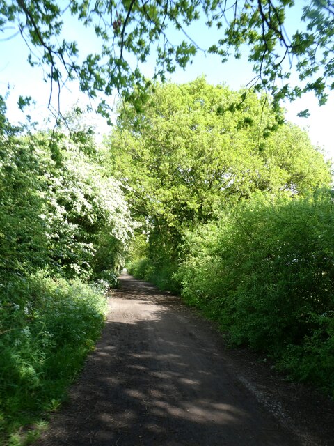 Wirral Way south-west of Willaston © David Smith :: Geograph Britain ...