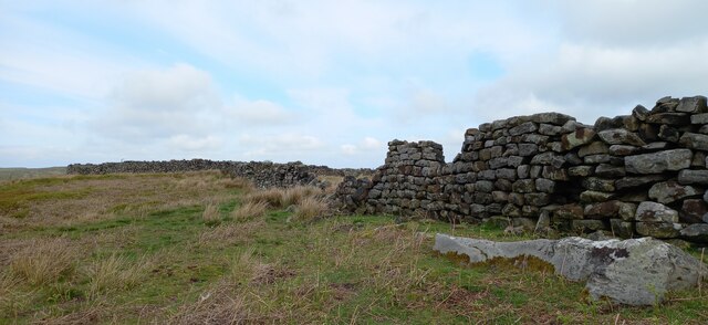 Broken field enclosure wall and large... © Mel Towler :: Geograph ...