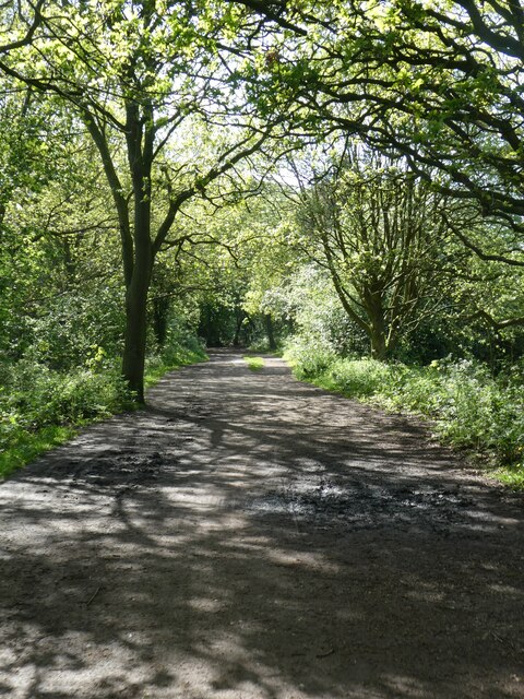 Wirral Way south of Willaston © David Smith cc-by-sa/2.0 :: Geograph ...