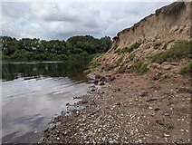 SJ6104 : Bank of the River Severn by TCExplorer