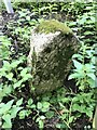 Old Boundary Marker on the former A390