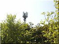 Mobile phone masts near the A1(M) at Bramham