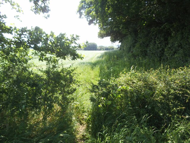 Footpath Off Holme Farm Lane © Stephen Craven Cc By Sa20 Geograph Britain And Ireland 6454