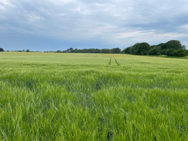 Summer view - St John's Field © Mr Ignavy :: Geograph Britain and Ireland