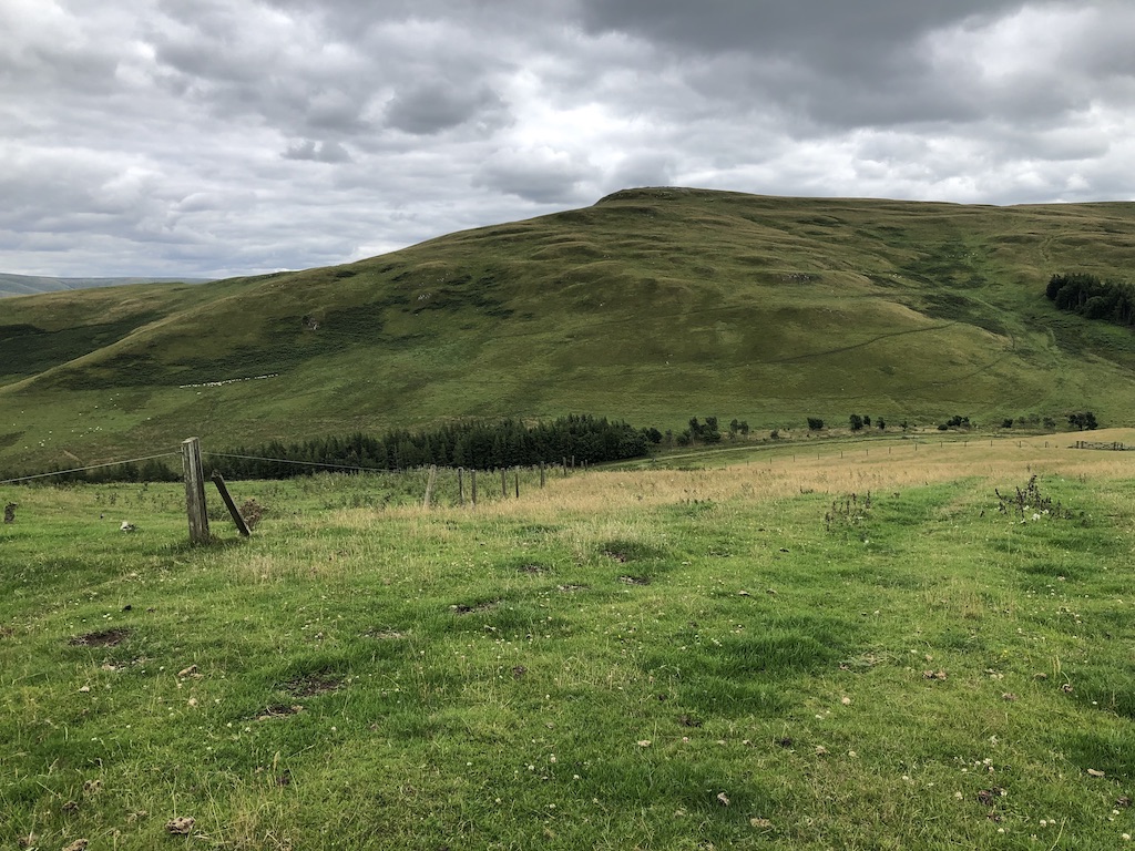 Field on The Kip © Richard Webb cc-by-sa/2.0 :: Geograph Britain and ...