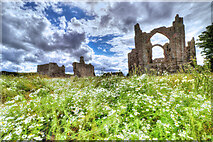 NU1241 : Lindisfarne Priory ruins by Andy Stephenson