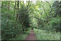 Path through South Wood, Corby