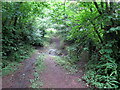 Rhyd a phompren / Ford and footbridge