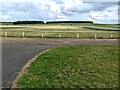 TL6463 : Warren Hill racehorse training gallops in Newmarket by Richard Humphrey