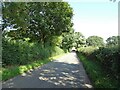 Newton Lane towards Daresbury