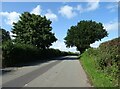 Chester Road towards Daresbury