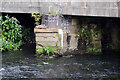 Under the River Tame railway bridge, Perry Barr