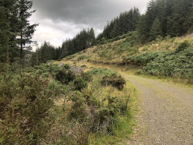 buzzards nest car park