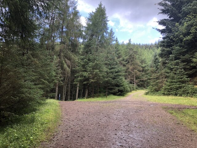 glentress uplift