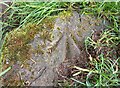 Benchmark cut into boulder, Nidderdale