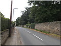 Main Street in Womersley