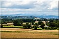 View looking West towards the Cambrian Mountains