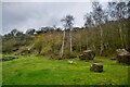 Gloucester : Tuffley - Robinswood Hill Quarry