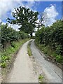 Country lane leading north from Llanyblodwel