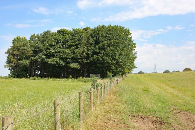 footpath-to-hangman-s-hill-jeff-buck-cc-by-sa-2-0-geograph-britain