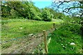 Footpath, north of How Stean Beck in Nidderdale