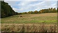 View of field, Main Road