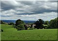 Houses at Trimpley Green