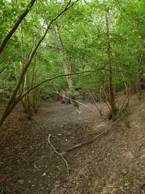 Grigg's Wood © Simon Carey :: Geograph Britain and Ireland