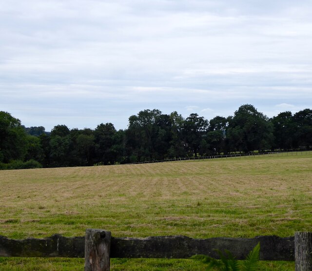 Tinkers Croft © Simon Carey :: Geograph Britain And Ireland