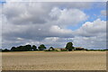 Barrow Hill Farm across a field of wheat