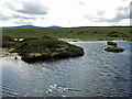 NY7634 : Lochan on Bellbeaver Rigg (3) by Mike Quinn