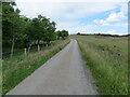 Minor road passing between woodland and grassland near to Balnabock