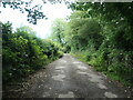 Leeds Country Way on the Coach Road