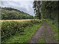 Churnet way long-distance footpath