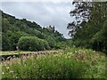 Alton Castle