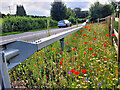 Roadside floral display