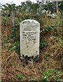 Old Milestone by the former A74