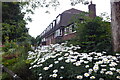 A Walk in Didsbury Village (79) Didsbury Park Flowerbed