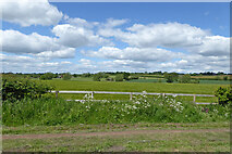 SO8697 : Staffordshire farmland west of Castlecroft by Roger  D Kidd