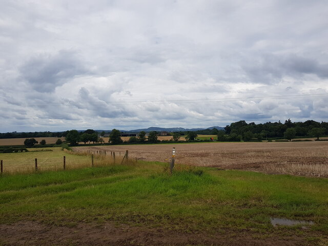 Far distant Woodbury Hill from near... © Jeff Gogarty :: Geograph ...