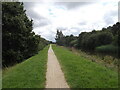 Path by Fossdyke Navigation