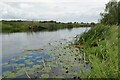 SP0950 : River Avon near Marlcliff by Philip Halling