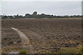 Ploughed field