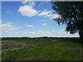 Irrigated potato field off Crow Lane