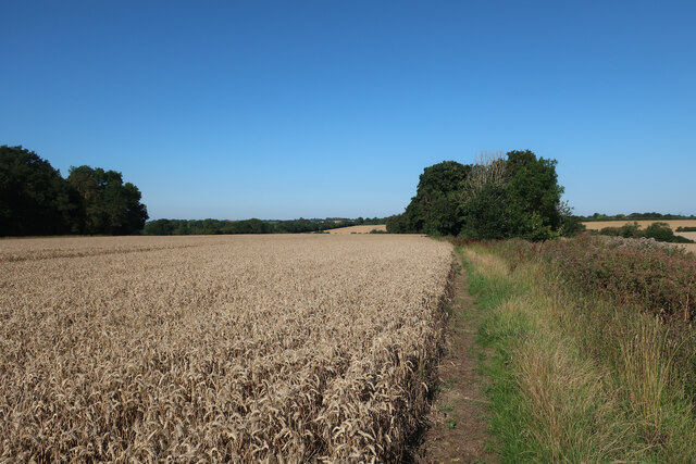 Restricted Byway Towards Great Hormead © Hugh Venables :: Geograph ...