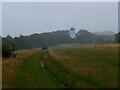 TQ2808 : Green Ridge and Patcham Windmill by Jim Barton